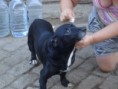 /album/apadrinhamento/oscar-4-jpg/
